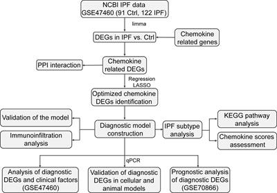 Identification and validation of chemokine system-related genes in idiopathic pulmonary fibrosis